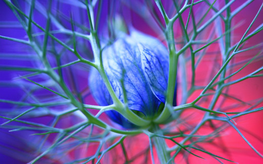 764453 (a): :2560x1600